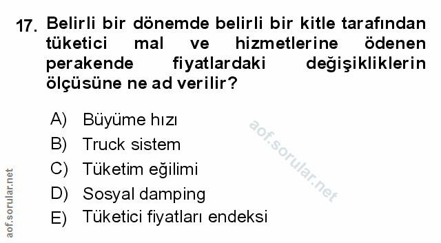 Soru 17