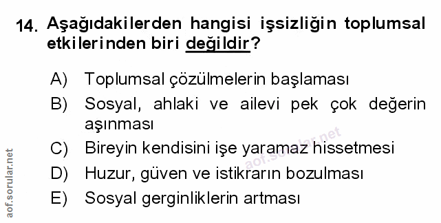 Soru 14