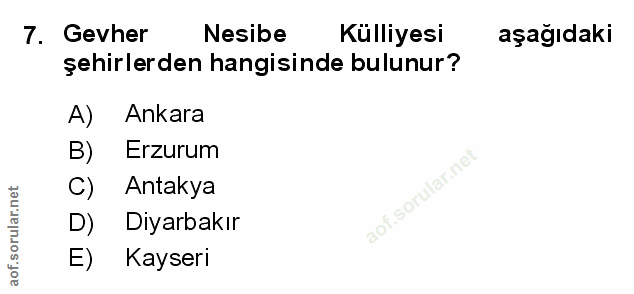 Soru 7