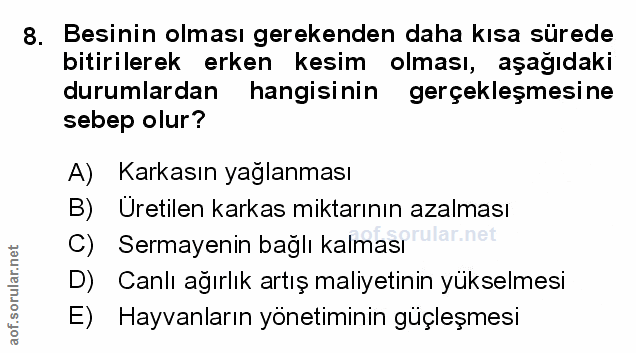 Soru 8