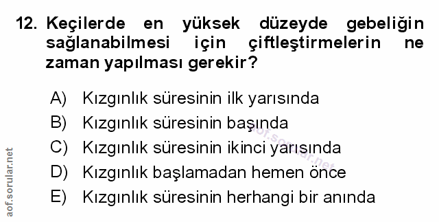 Soru 12
