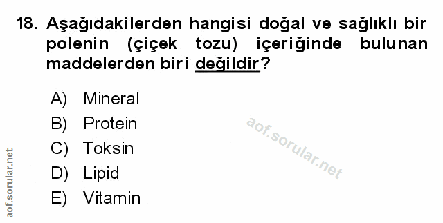 Soru 18