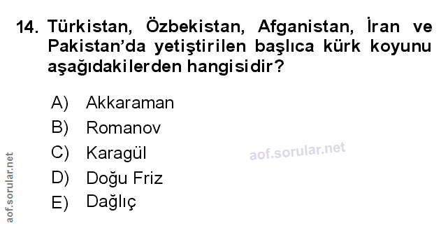 Soru 14