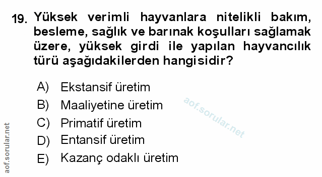 Soru 19