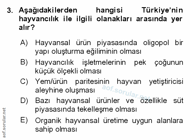 Soru 3