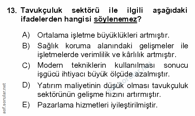 Soru 13