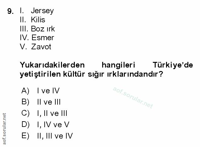 Soru 9