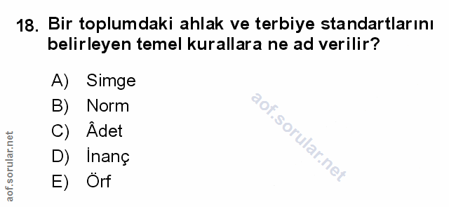 Soru 18