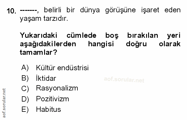 Soru 10