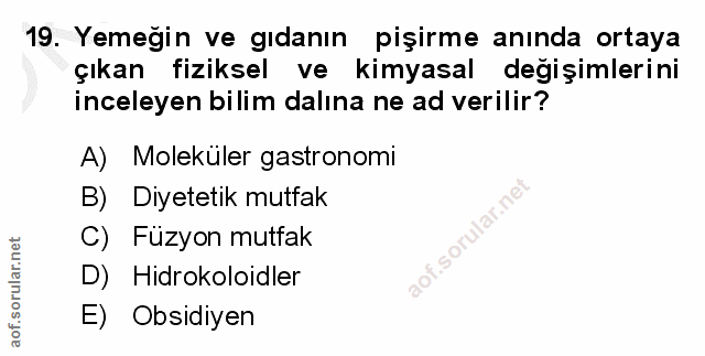 Soru 19