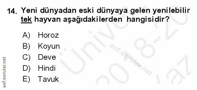 Soru 14