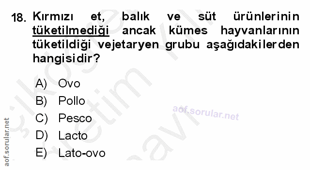 Soru 18