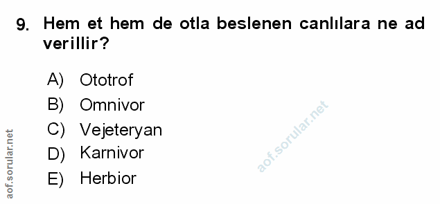 Soru 9