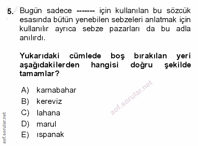 Soru 5