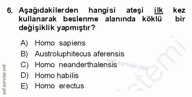 Soru 6
