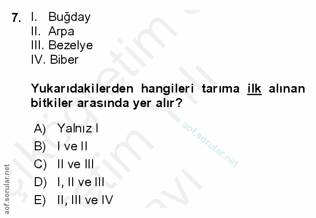 Soru 7