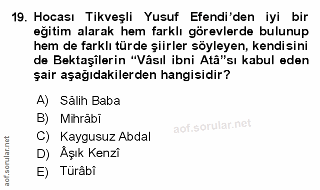 Soru 19