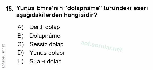 Soru 15