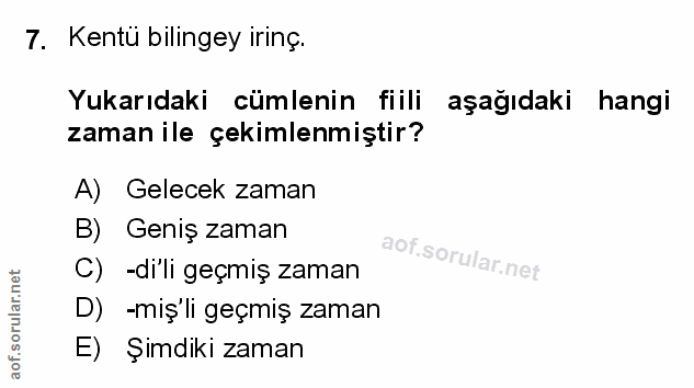 Soru 7