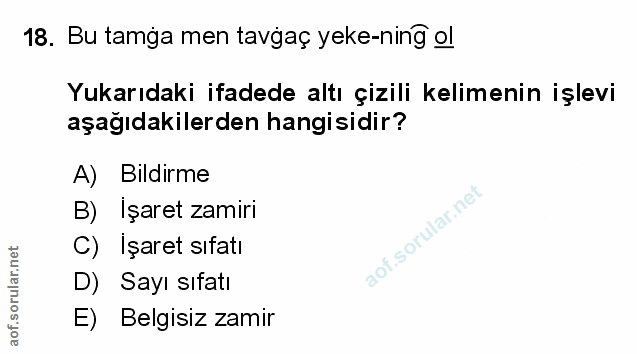Soru 18