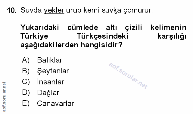 Soru 10