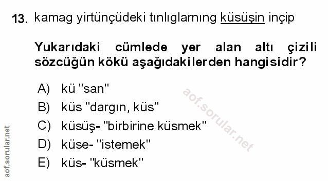 Soru 13