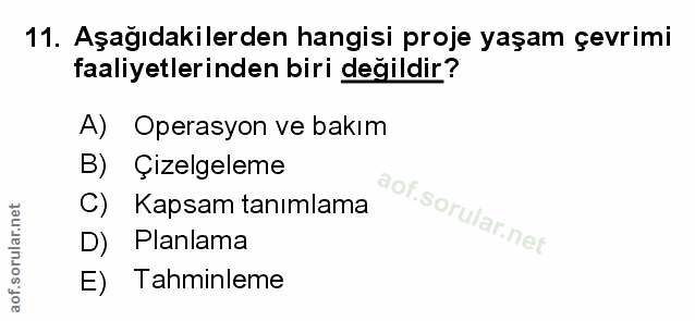 Soru 11