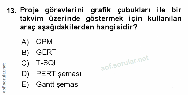 Soru 13