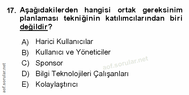 Soru 17