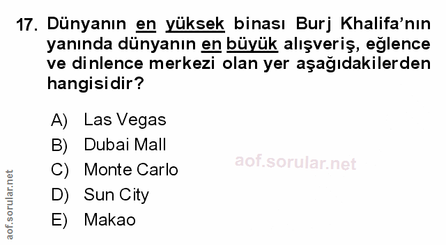 Soru 17