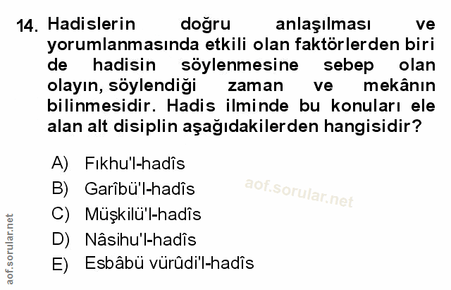 Soru 14