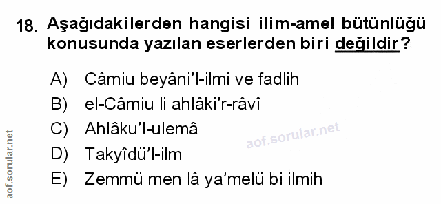 Soru 18