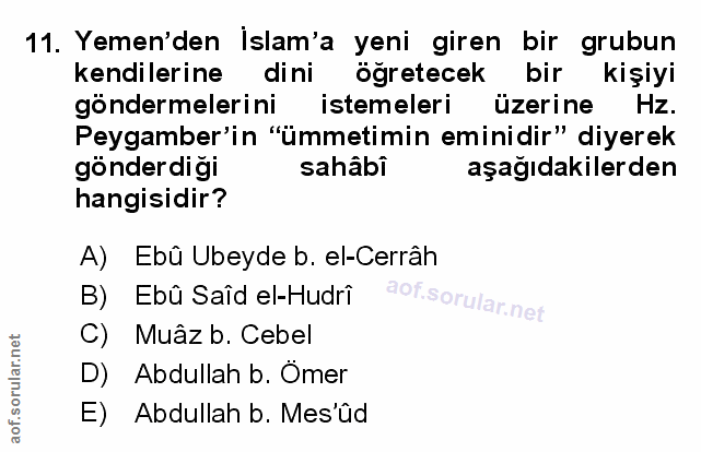 Soru 11