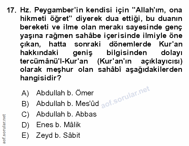 Soru 17