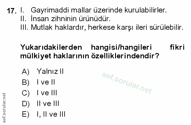 Soru 17