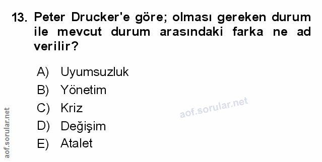 Soru 13