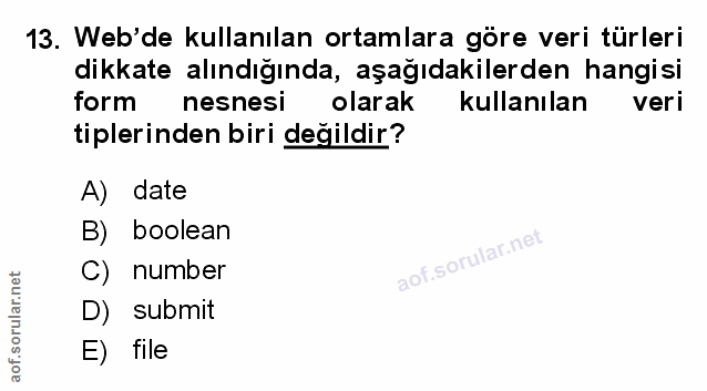 Soru 13