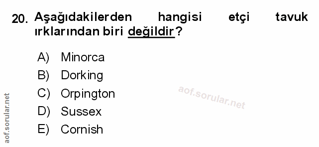 Soru 20