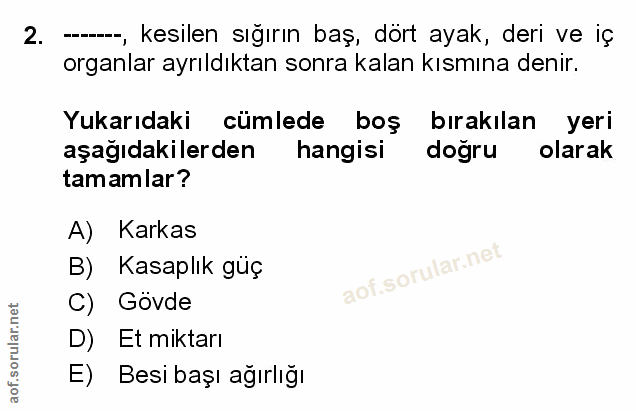 Soru 2