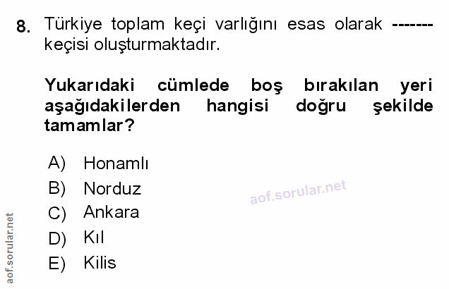 Soru 8