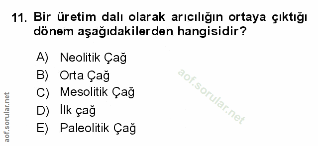 Soru 11