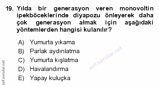 Soru 19