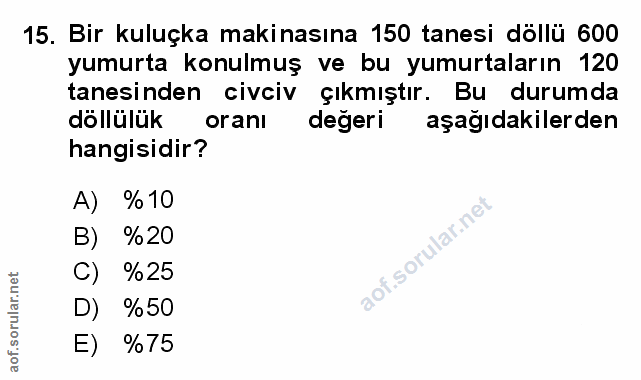Soru 15