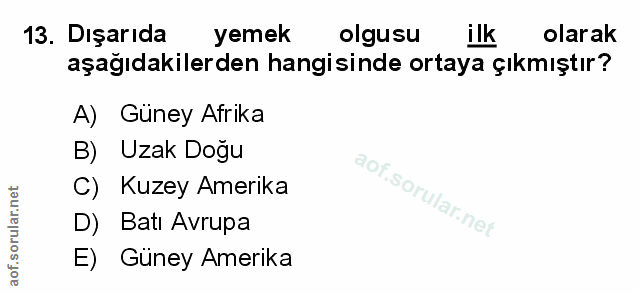 Soru 13