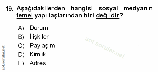 Soru 19