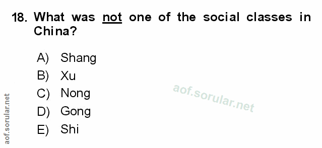 Soru 18