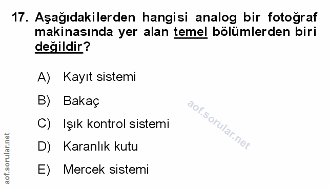 Soru 17