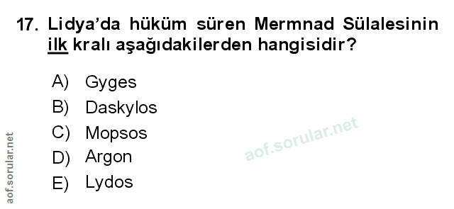 Soru 17