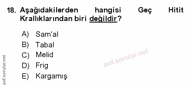 Soru 18