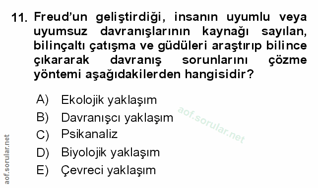 Soru 11